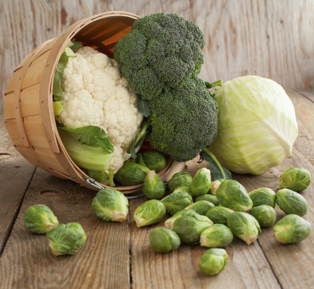 Kupus, Brokoli, Zeleno Povrće, Prokelj