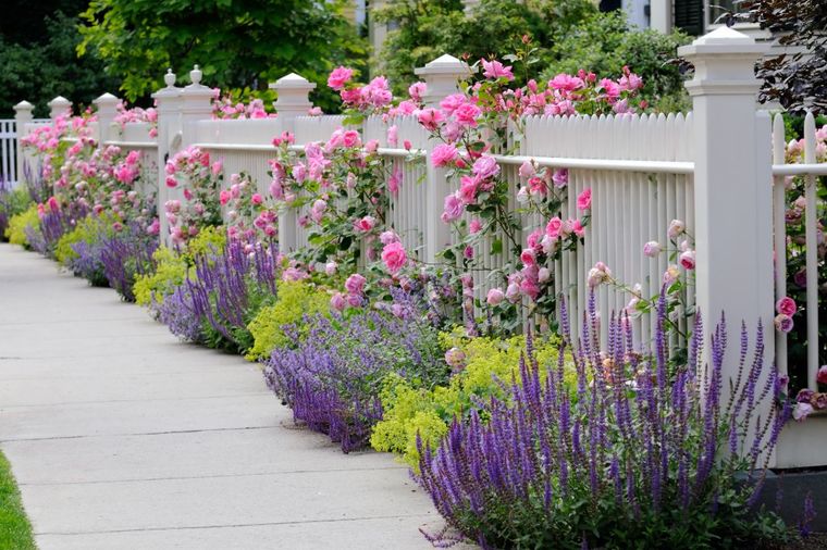Boje cveća koje imate u bašti utiču na vaše raspoloženje!