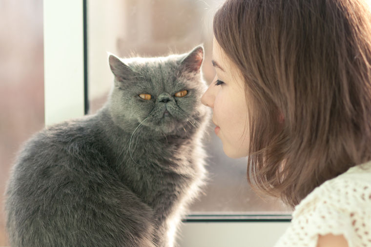 Sindrom Toma i Džerija: Da li i vaša mačka pati od ove bolesti?