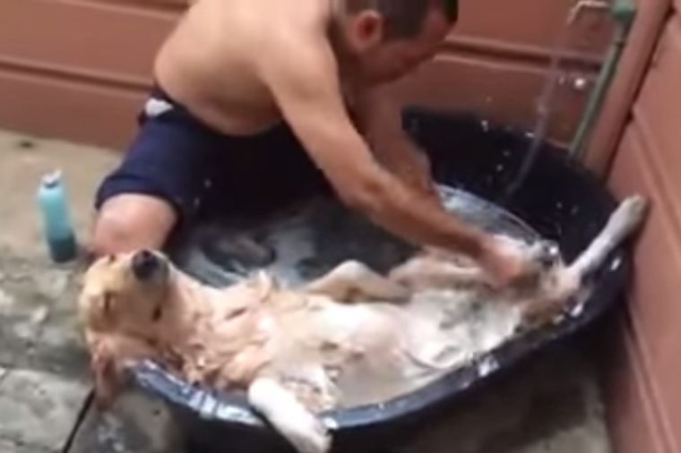 Ovaj ljubimac ne vodi pseći život: Kuca koja voli kupanje više od ičega! (VIDEO)