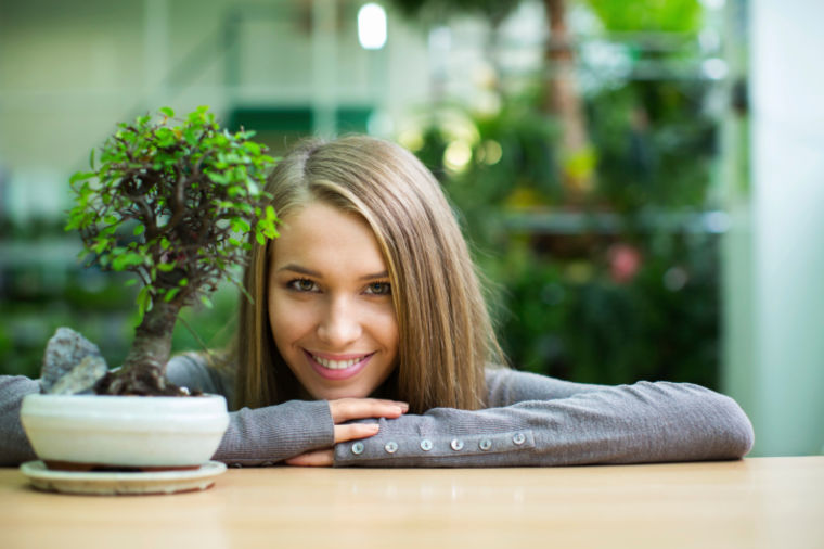 4 pravila za negu sobnih bonsaija: Držite ih na svetlom i toplom, koristite tečno đubrivo