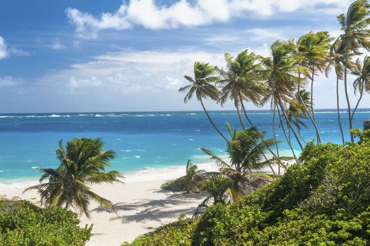 Tropski raj okružen palmama: Sve čari ostrva Barbados (FOTO)