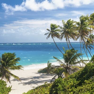 Tropski raj okružen palmama: Sve čari ostrva Barbados (FOTO)