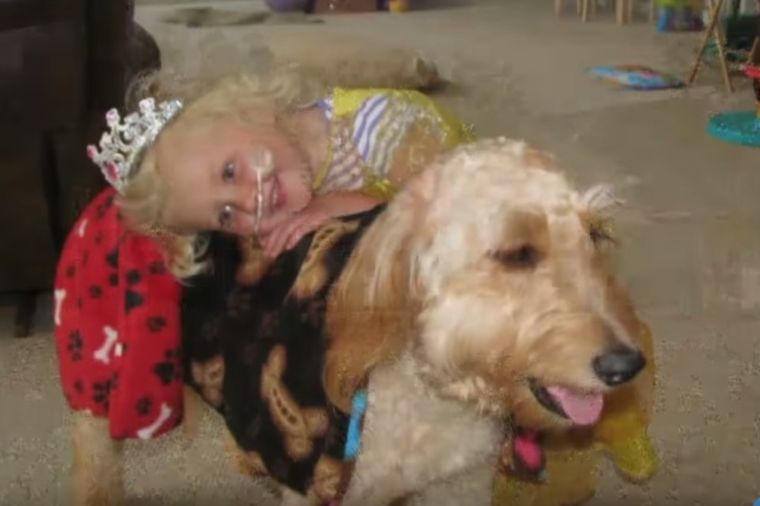Bez njega bi umrla: Pas svaki dan spasava život devojčici! (VIDEO)