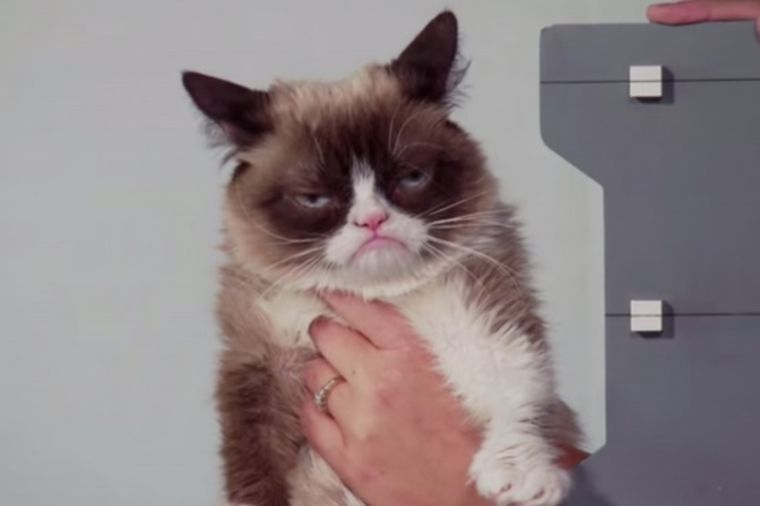 Omiljeni namćor: Mrzovoljna mačka dobija svoju figuru! (VIDEO)