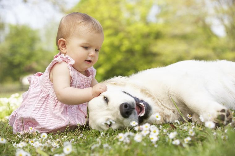 Prvi prijatelj, podrška, čuvar zdravlja: Zašto deca treba da odrastaju uz psa