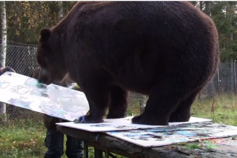 Jedinstveni slikar: Medved Juso do sad prodao 6 dela! (VIDEO)