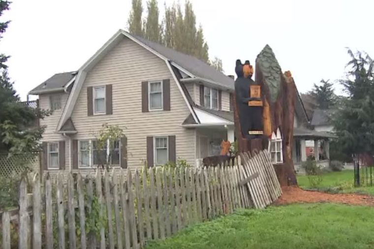Ogromno stablo ugrožavalo njenu kuću: Umesto da poseče drvo, evo čega se dosetila! (VIDEO)