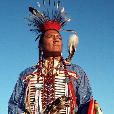 "ČUVAJTE SE ČOVEKA KOJI NE GOVORI I PSA KOJI NE LAJE": Najpametnije rečenice drevnih Indijanaca koje svako treba da ZNA