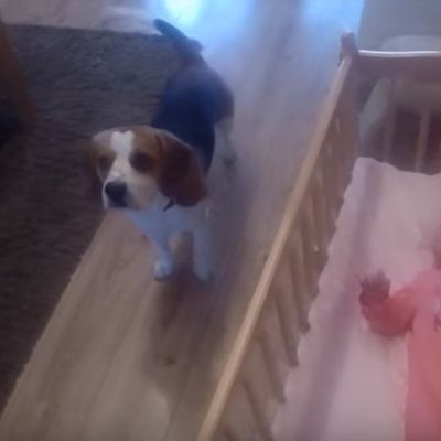 Čuli su bebin plač: Kada su ušli u njenu sobu, imali su šta da vide! (VIDEO)