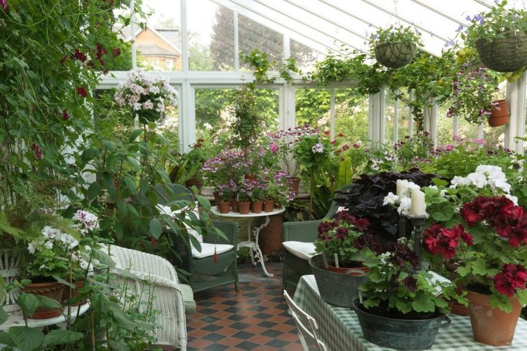 Šareni raj u vašem domu: Kako da napravite baštu iz snova! (FOTO)