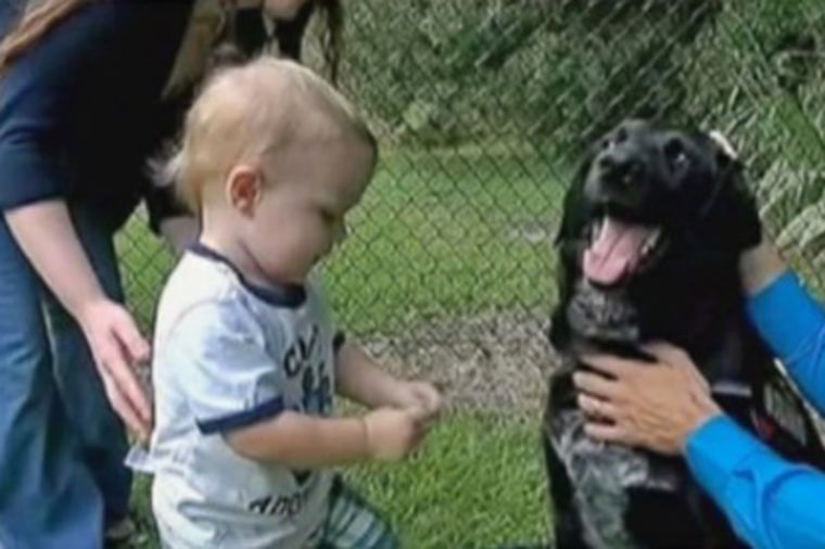 Pas je počeo preterano da štiti bebu: Roditelji postavili kameru i otkrili stravičnu istinu! (VIDEO)