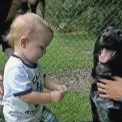 Pas je počeo preterano da štiti bebu: Roditelji postavili kameru i otkrili stravičnu istinu! (VIDEO)