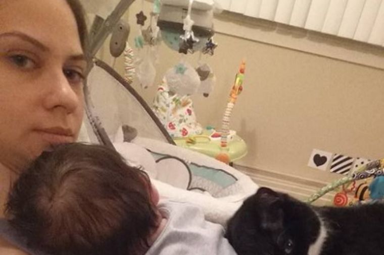 Mačka predosetila da je gazdarica trudna: Od prvog dana čuvala bebu! (FOTO)