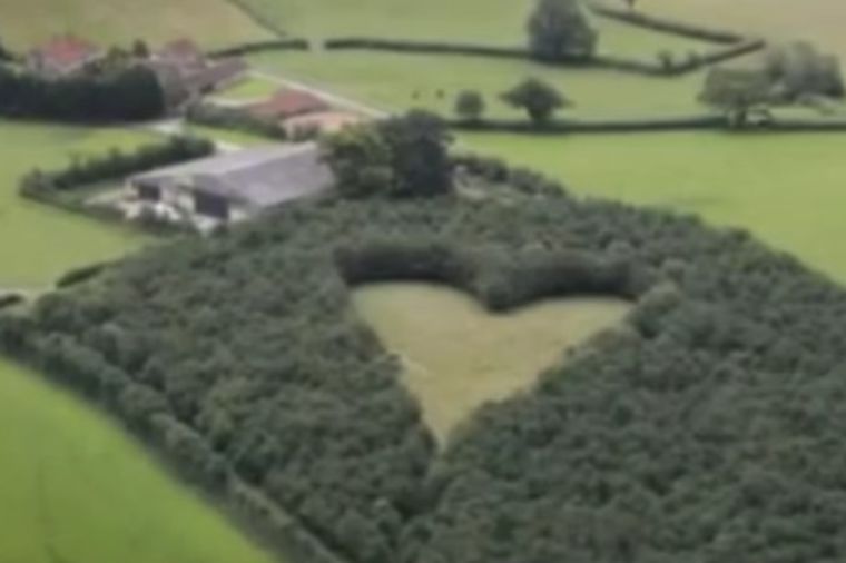 Prizor od kog se steže srce: Kad prava ljubav ne zna za granice! (VIDEO)