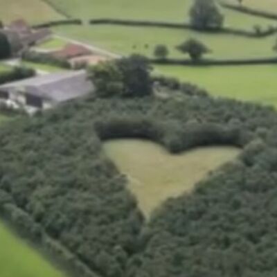 Prizor od kog se steže srce: Kad prava ljubav ne zna za granice! (VIDEO)