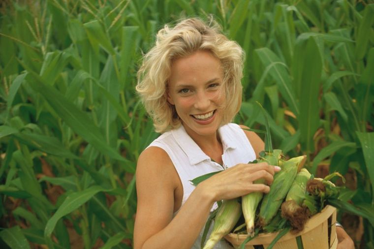 Izvor vlakana, folne kiseline i vitamina B: Pregršt dobrih razloga da jedete kukuruz!