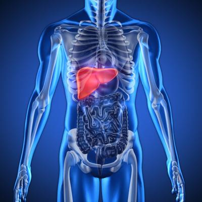 15 znakova da jetra ne radi kako treba: Evo kako da oporavite ovaj najvažniji organ u telu! (RECEPT)