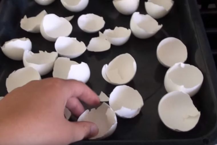Ona peče ljuske od jaja: Kada saznate zašto, i vi ćete početi to da radite! (RECEPT, VIDEO)