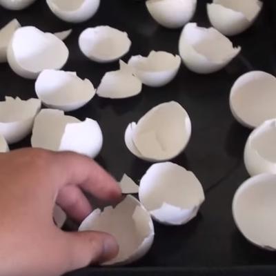 Ona peče ljuske od jaja: Kada saznate zašto, i vi ćete početi to da radite! (RECEPT, VIDEO)