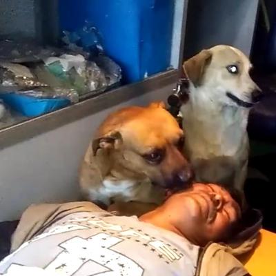 Psi odbili da napuste bolesnog vlasnika: Svet zanemeo zbog onog što su uradili! (VIDEO)