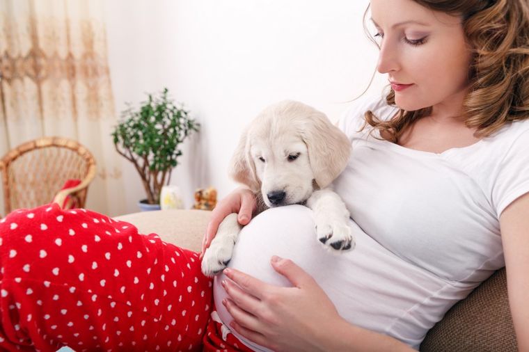 Pas spasao trudnicu od pobačaja: Nanjušio nevolju, počeo da laje u sred noći!