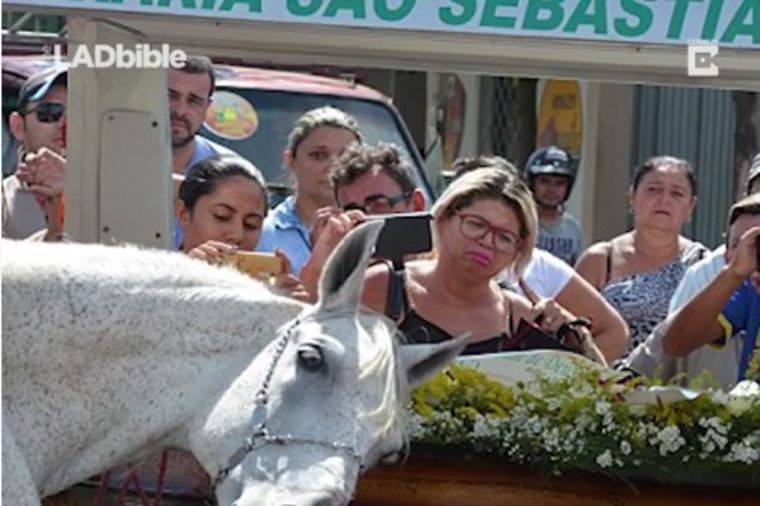 Konj plakao na sahrani svog vlasnika: Tužna slika ostavila svet u suzama! (VIDEO)