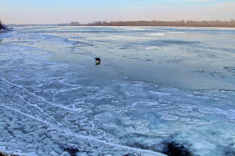 Skočio u zaleđeni Dunav da spasi psa: Heroj o kojem bruje društvene mreže! (FOTO)
