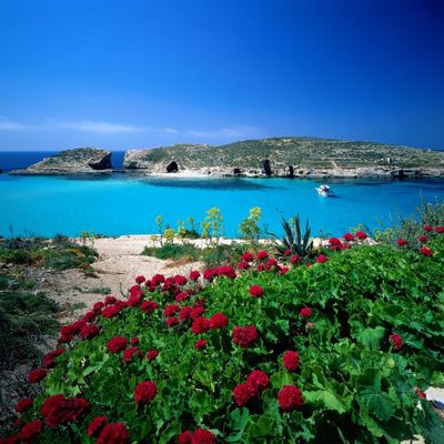Čarobni prizori sa Malte: Destinacija koju treba osetiti! (FOTO)
