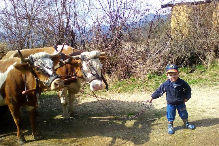 Zdravi kao dren, srce im je čisto i iskreno: Evo zašto su deca iz Azbukovice srećnija od beogradske!