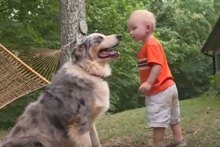 Otac gledao kako pas juri na njegovog sina: U trenutku shvatio jezivu istinu! (VIDEO)