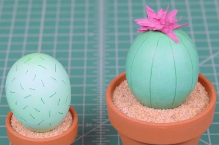 Kaktus uskršnja jaja za prave baštovane: Ukrašavanje koje do sada niste videli! (VIDEO)
