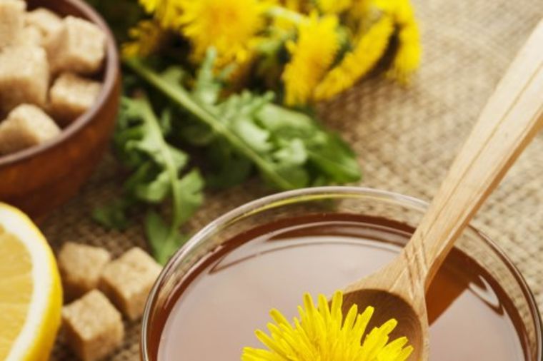 Domaći recept za med od maslačka: Izlečite kašalj i alergije! (RECEPT)