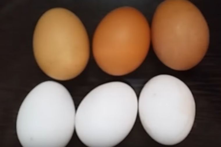 Izbelite jaje za farbanje: Mali uskršnji trikovi! (VIDEO)