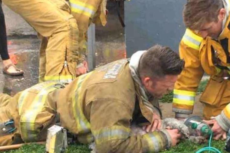 Vatrogasac činio sve da spase psa nastradalog u požaru: Ceo svet mu se divi! (VIDEO)