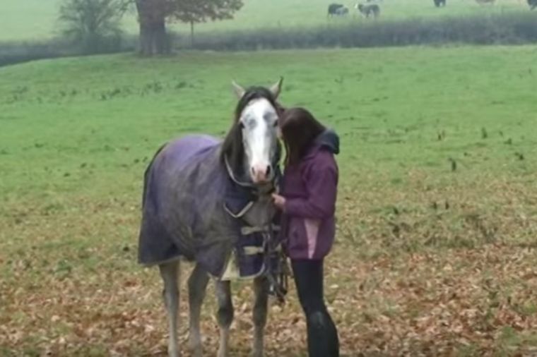 Bila je odsutna od kuće 3 nedelje: Zanemećete zbog reakcije njenog konja! (VIDEO)