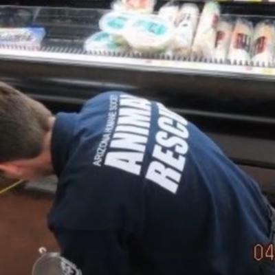 Radnici u prodavnici čuli plač ispod frižidera: Ovakvo otkriće nisu očekivali! (VIDEO)