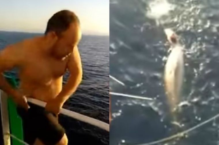 Zarobljenom kitu pretila smrt: O postupku hrabrog mornara bruji ceo svet! (VIDEO)