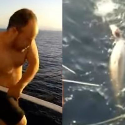 Zarobljenom kitu pretila smrt: O postupku hrabrog mornara bruji ceo svet! (VIDEO)