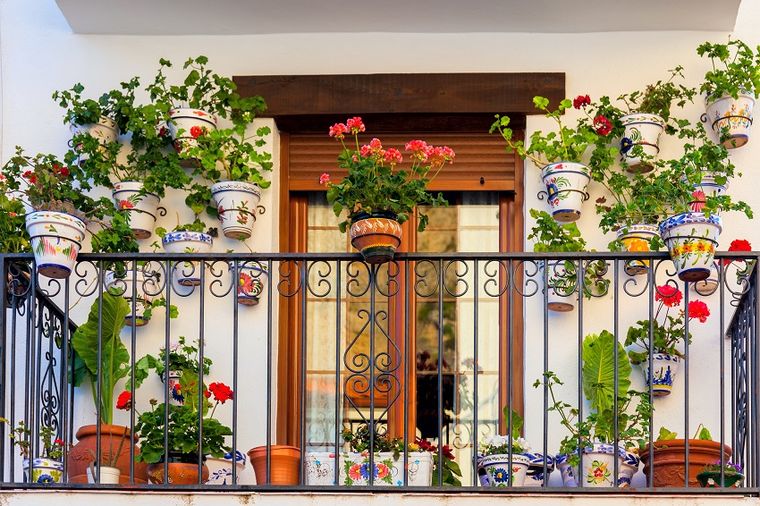 Šta svaka terasa treba da ima: Kombinacije cveća koje provereno uspevaju! (FOTO)