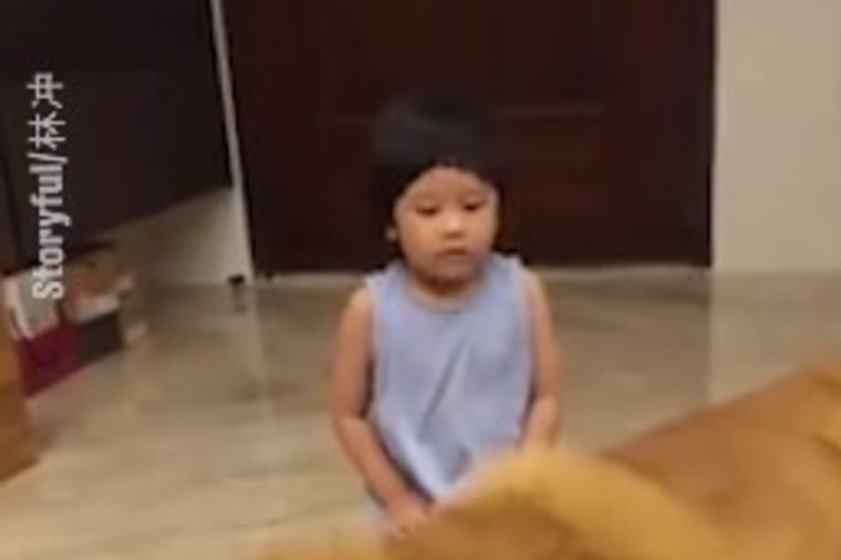 Majka ostavila bebu sa džinovskim psom: Ovakav prizor nije očekivala! (VIDEO)