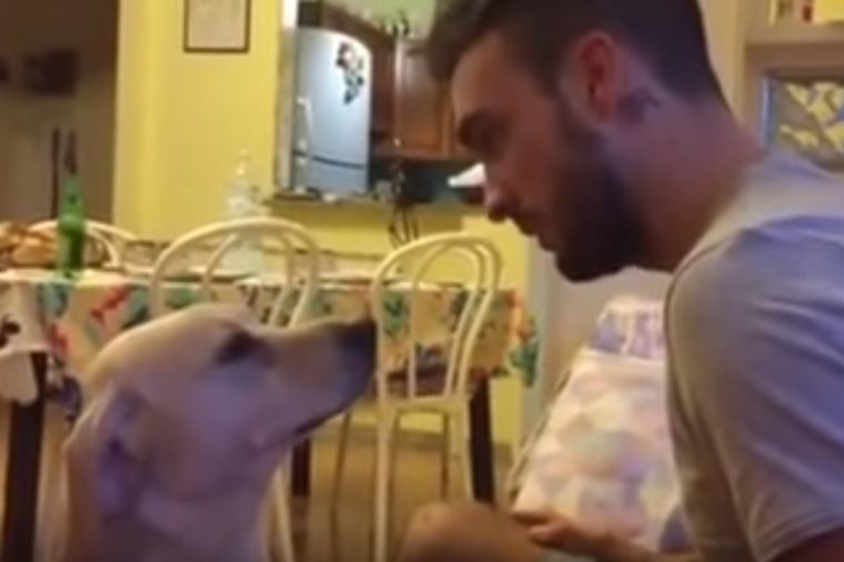 Pas molio vlasnika za oproštaj: Ovo je nešto najdirljivije što ćete videti danas! (VIDEO)
