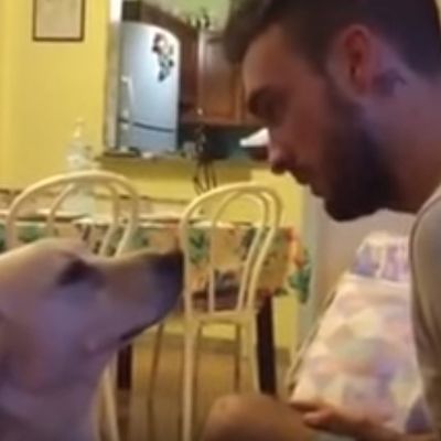 Pas molio vlasnika za oproštaj: Ovo je nešto najdirljivije što ćete videti danas! (VIDEO)