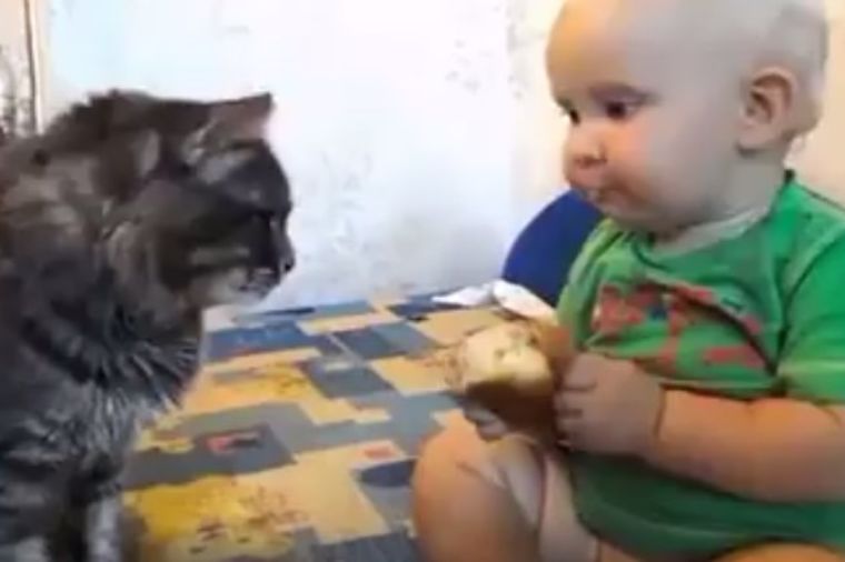 Pola jede, pola maci daje: Nešto najslađe što ćete videti danas! (VIDEO)