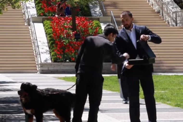 Bogataš nudio vlasnicima 100.000 za psa: Njihove reakcije ostavljaju bez teksta! (VIDEO)
