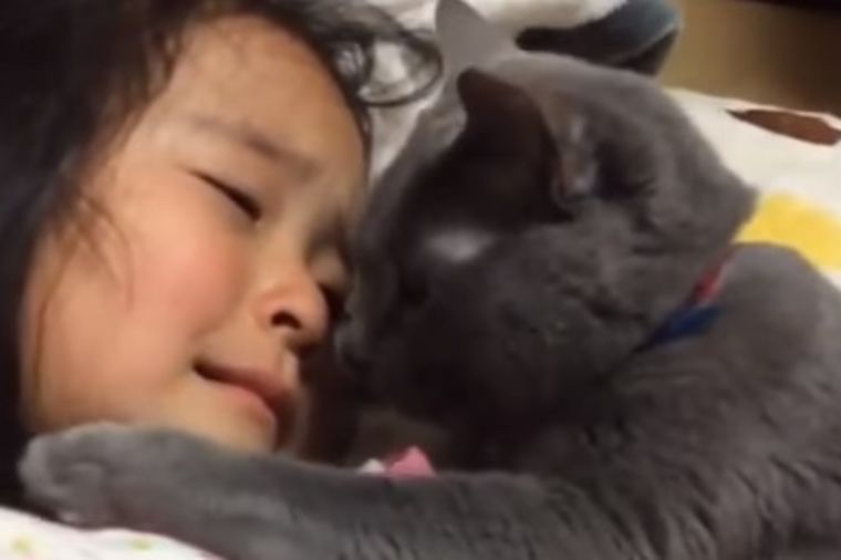 Maca teši uplakanu devojčicu: Ovo je nešto najslađe što ćete videti danas! (VIDEO)