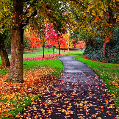 Svet je najlepši u jesen: Magični prizori prirode zaustavljaju dah!