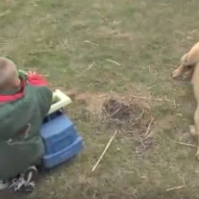 Dete i pas nestali iz dvorišta: Roditelji pozvali policiju, prizor ih šokirao! (VIDEO)