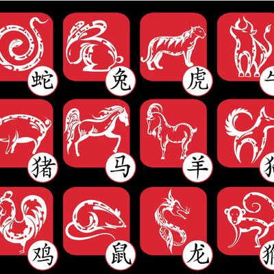 Kineski horoskop za decembar otkriva: Imaćete priliku da se rešite stvari koje imaju negativan uticaj!