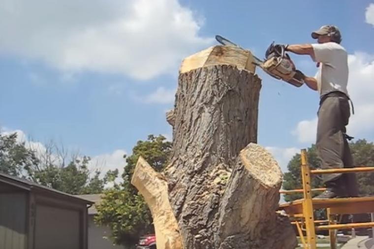 Kupio kuću sa isečenim stablom u dvorištu: Umesto da izvadi koren, napravio remek delo! (VIDEO)